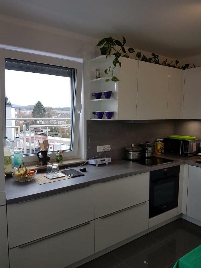 Apartment Near Frankfurt, Fantastic View! Usingen Exterior foto