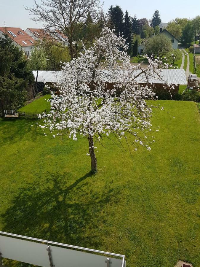 Apartment Near Frankfurt, Fantastic View! Usingen Exterior foto
